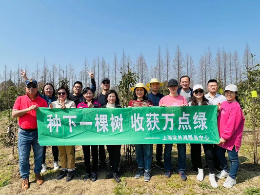 上海春游踏青项目攻略长兴岛桔园农庄植树骑行烧烤团建