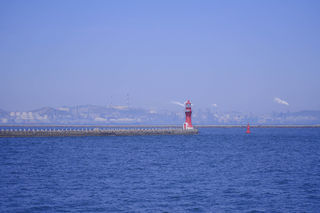 山海相依，3年不见大连你好吖