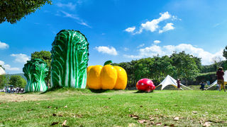 被安吉大余村惊艳！青年创业返乡的天堂