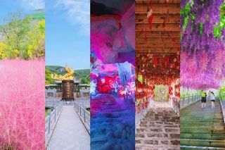 满足你的“好色基因”!来济南青铜山大峡谷感受国色秋天!