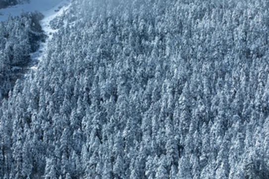 春天去有雪的地方:现实版香巴拉、古村与慢时光