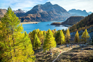 圣莫里茨游记图文-豪瑟瑞士品质酒店：盛夏在圣莫里茨的避暑首选！