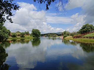 暑游北国，畅享北国夏日风光