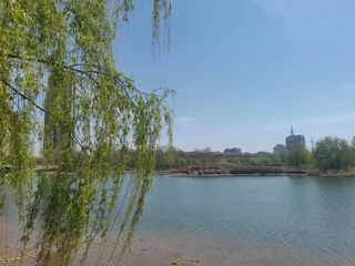 碧玉妆成一树高，万条垂下绿丝绦