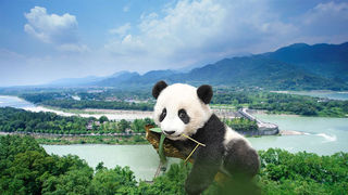 都江堰不容错过的7个景点