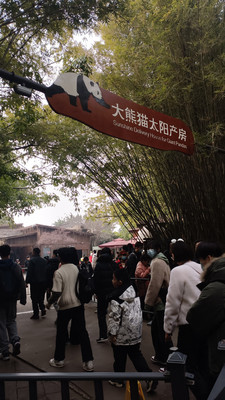 2024年春节川渝行