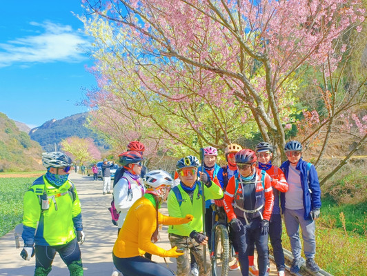 春日骑行:樱花谷的视觉盛宴与心灵之旅