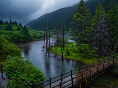 达古冰川风景名胜区游记图片] 出片率百分之80，这个出片神地我不允许你不知道！
