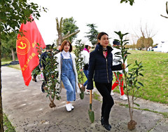 上海游记图片] 当38女神节撞上植树季来上海长兴岛桔园农庄植树吧
