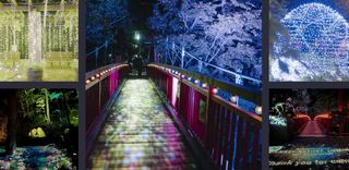 北国短暂的夏季|札幌6～8月活动