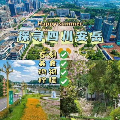 安岳之行：探寻柠檬之乡的禅意与美食