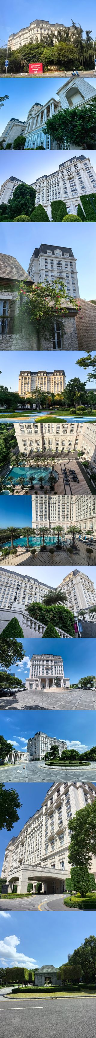 鹭岛之“非洲鸡养成记”