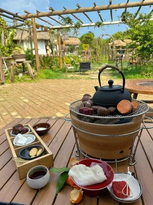 桔园秘境：乐活营地一日游记