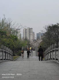 随州游记图片] 湖北游记之随州文化公园