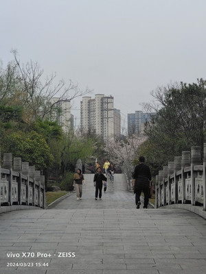 湖北游记之随州文化公园