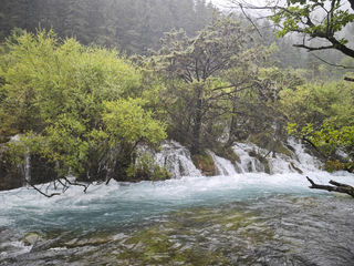 来净土阿坝,体验一场五彩斑斓的夏日之旅