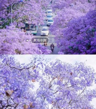 被风吹过的足迹：我遇上最美丽江，大理和泸沽湖