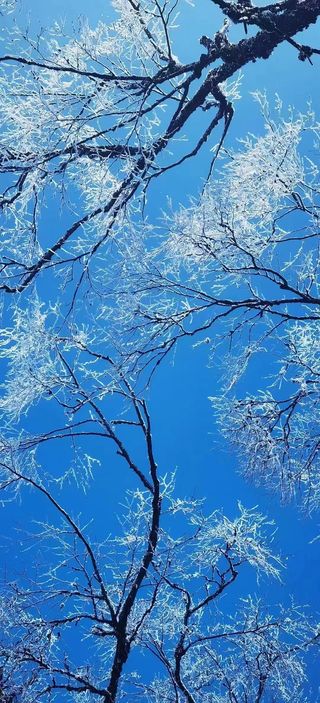 西岭雪山冰雪季｜不用去国外也能住的蛋屋酒店