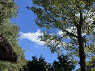 带家人欣赏祖国大好河山|云南纯玩六天