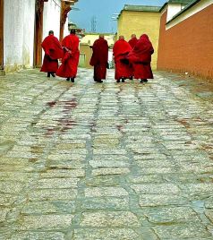 川西游记图文-自驾洛克之路，从甘南到川西，西宁至成都之旅