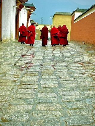 自驾洛克之路，从甘南到川西，西宁至成都之旅