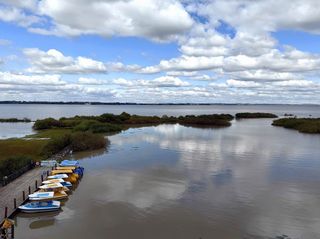 云游四海（1855）东北边境行之三十四：兴凯湖国家级自然保护区