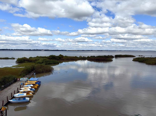 云游四海(1855)东北边境行之三十四:兴凯湖国家级自然保护区