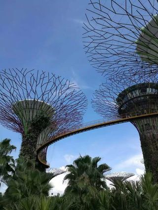 新加坡：畅游狮城(环球影城+圣淘沙岛Wings of time时光之翼)