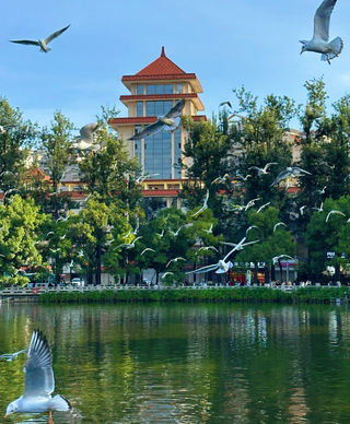 昆明翠湖封神！住这酒店承包四季浪漫🌸