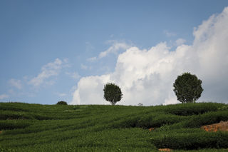 三天两晚，环武夷山国家公园1号风景道自驾游