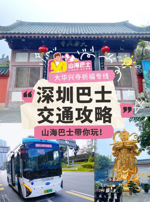 绝了!盐田山海巴士祈福专线!享受治愈出行