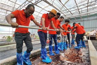 外国学生走进佛山非遗基地拜师学艺，感受岭南非遗魅力