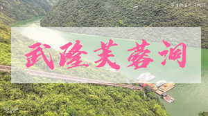 武隆区人民政府/武隆喀斯特旅游区游记图文-这个夏天来武隆芙蓉洞吧，世界三大溶洞之一，景色奇瑰还清凉避暑