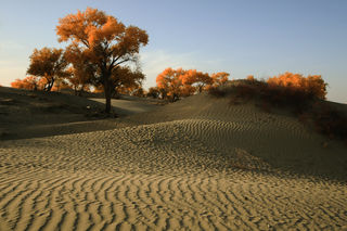 塔克拉玛干大沙漠