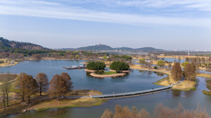 佘山/松江大学城游记图文-佘山的春天，就应该和大自然来个约会