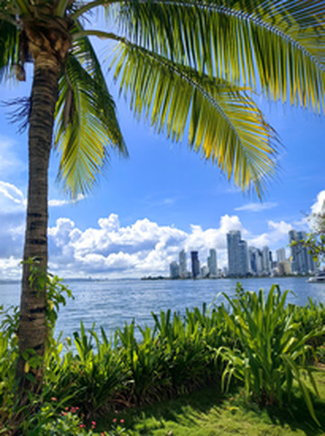 卡塔赫纳游记图片] 加勒比海南端的宝藏-探寻卡塔赫纳