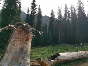 夏塔旅游区游记图文-夏塔徒步与骑马，美美与共