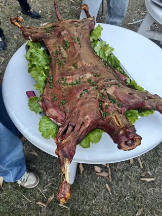 秋冬上海奉贤团建推荐：夜场烤全羊，让团队氛围炸裂！