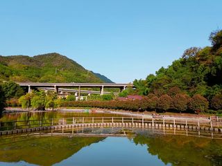 秋天去哪儿赏桂花?我推荐不老潭