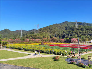 初秋时节，佛山卡玛缤纷花世界依然春花烂漫，留住了广东的春天