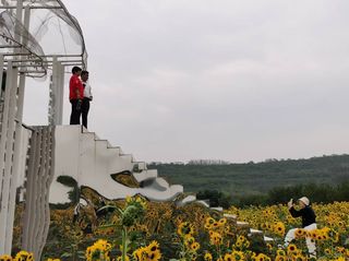 邯郸复兴区东高河村超赞一日游