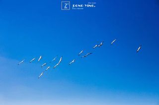 2023年最新|东营|黄河入海口、孙武故里，奇妙之旅