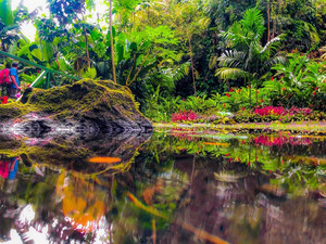 斐济游记图文-盘点斐济很火但是真不推荐的景点