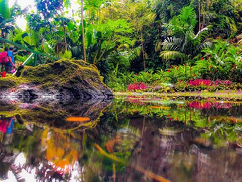 盘点斐济很火但是真不推荐的景点