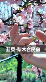 梨木台/九山顶度假区游记图片] 蓟县民宿性价比之王！后院挖野菜放风筝，柴火肘子铁锅鱼吃到扶墙