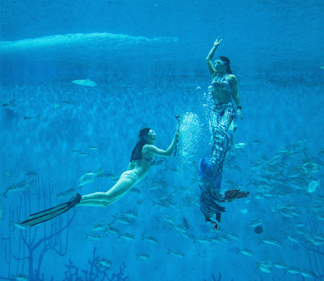 上海海昌海洋公园随拍照片集锦（七）