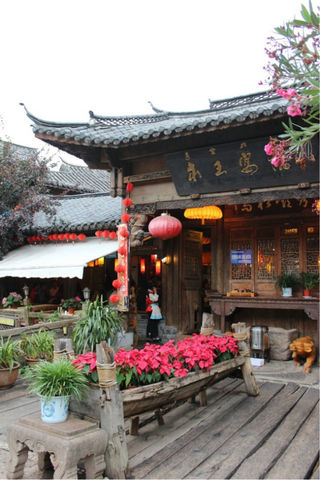 一场狗屁爱情,成就了我的五年的丽江旅游梦!
