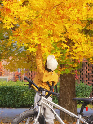 探索上海秋日秘境,乐活户外大本营趣味团建之旅