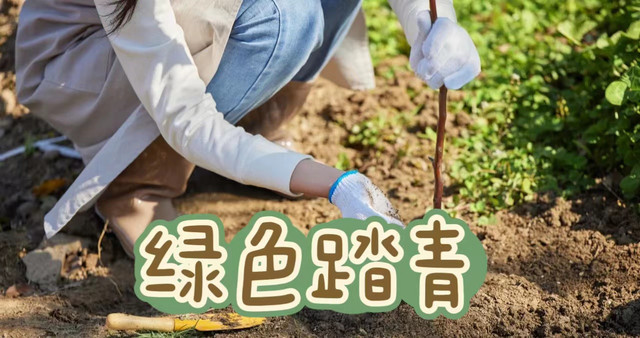 东莞植树节,植树节好去处推荐+团建方案