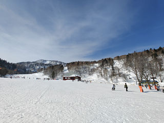 北海道--小樽、札幌--雪的世界、甜品的天堂